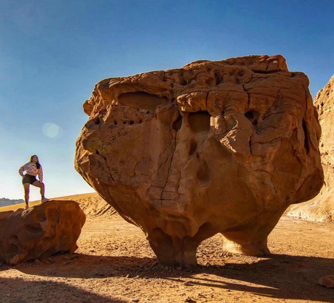 Bedouin Bunch Camp Luxuszelt *
