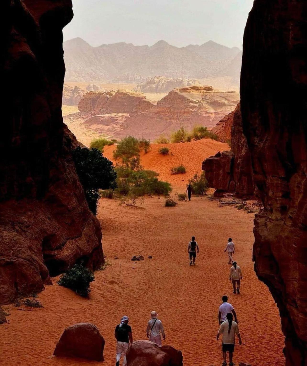 Bedouin Bunch Camp Luxuszelt *
